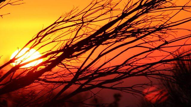 How Does Corruption Affect the Image and Likeness of God?