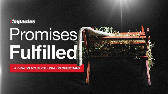 Promises Fulfilled: A Men's Devotional on Christmas