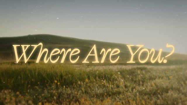 Where Are You? A Theology of Suffering