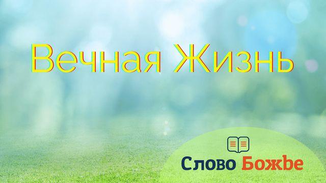 Вечная жизнь