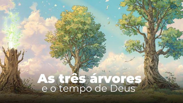 As Três Árvores e o Tempo De Deus