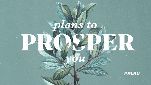 Plans to Prosper You