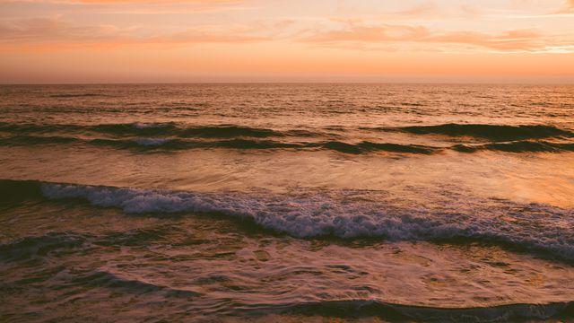 Deeper Into Scripture: 1 John