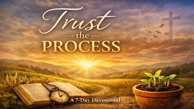 Trust the Process