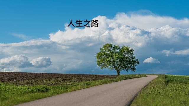 人生之路