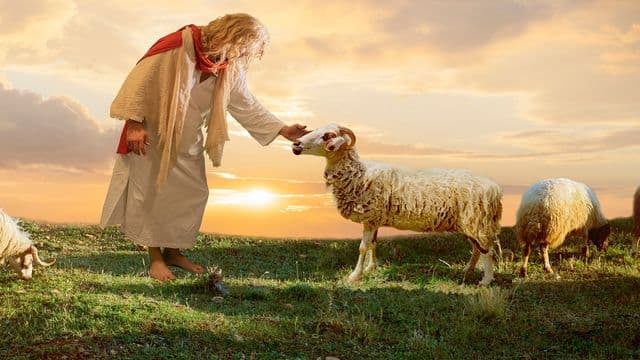 The Lord Is My Shepherd: Walking in Identity and Faith
