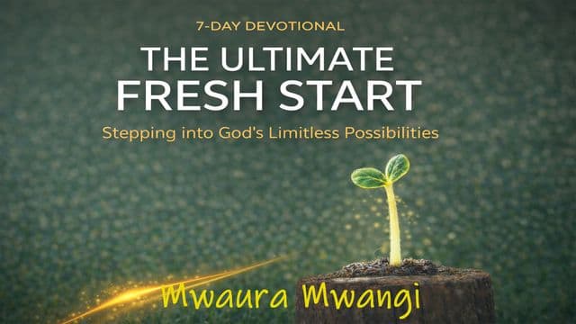 THE ULTIMATE FRESH START