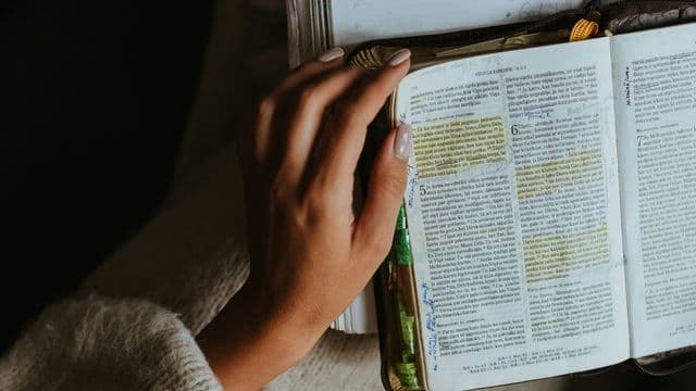 Take Your First Steps in the Bible