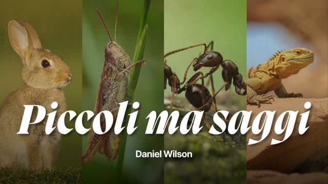 Piccoli ma saggi