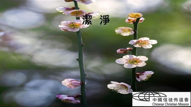 潔淨