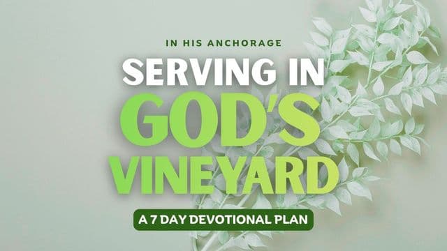 Serving in God's Vineyard