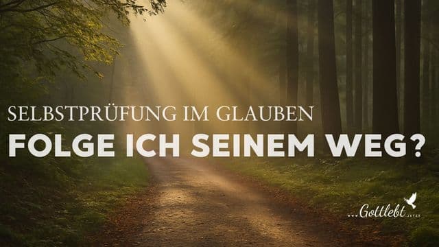 Selbstprüfung im Glauben - Folge ich Seinem Weg?