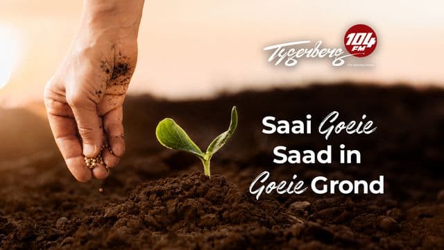 Saai Goeie saad in Goeie grond