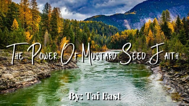 The Power of Mustard Seed Faith