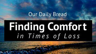 Our Daily Bread: Finding Comfort in Times of Loss  Lamentations 3:31-33 The Message