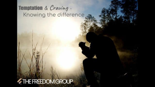 Temptation and Craving: Knowing the Difference in God's Design