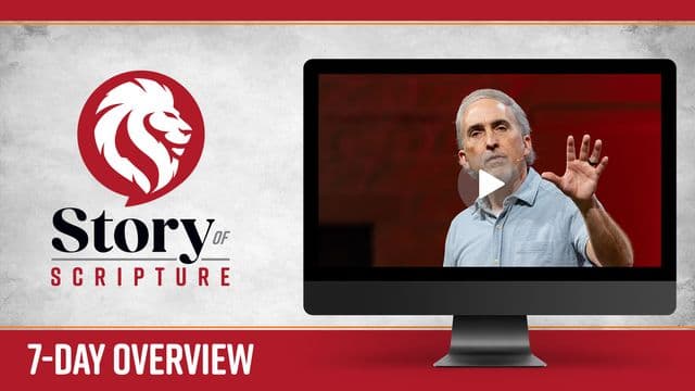 Story of Scripture: A 7-Day Overview