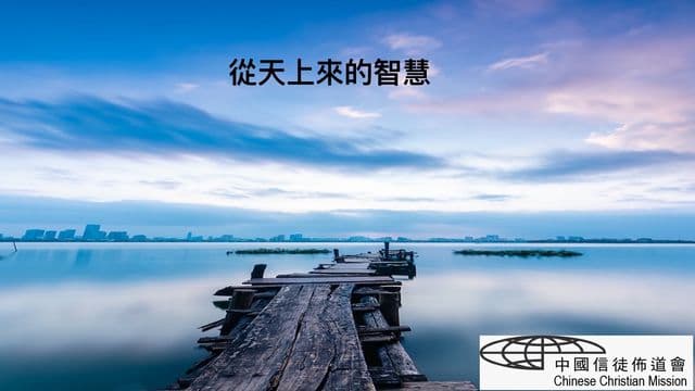从天上来的智慧