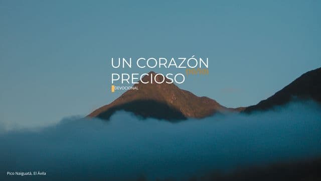 Un Corazón Precioso (10/10)