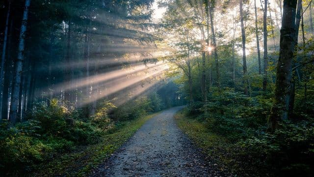 Changing the World; One Decision at a Time