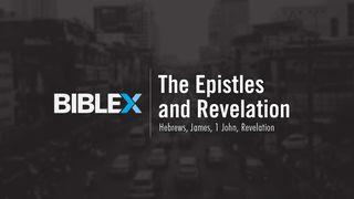 BibleX: The Epistles & Revelation  Hebrews 8:8 King James Version