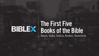 BibleX: The First 5 Books of the Bible   The Books of the Bible NT
