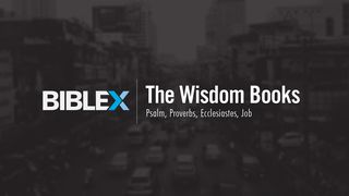 BibleX: The Wisdom Books   The Books of the Bible NT