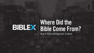 BibleX: Where Did the Bible Come From? Acts 17:11 Contemporary English Version Interconfessional Edition