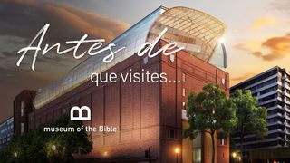 Antes De Que Visites El Museo De La Biblia Génesis 1:12 Nueva Traducción Viviente