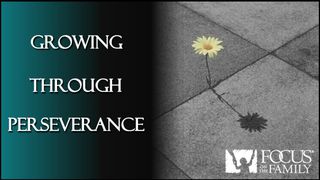 Growing Through Perseverance Ma-thi-ơ 10:42 Kinh Thánh Hiện Đại