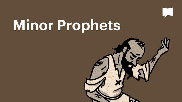BibleProject | Minor Prophets