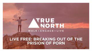 True North: Breaking Out Of The Prison Of Porn Luke 4:12 The Passion Translation