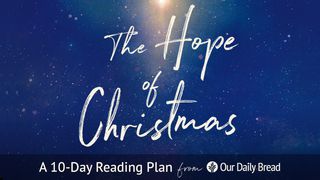 Our Daily Bread: The Hope of Christmas  Acts 17:29 Contemporary English Version Interconfessional Edition