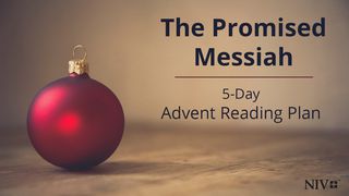 The Promised Messiah - 5-Day Advent Reading Plan 2 Corinthians 9:6-11 The Message