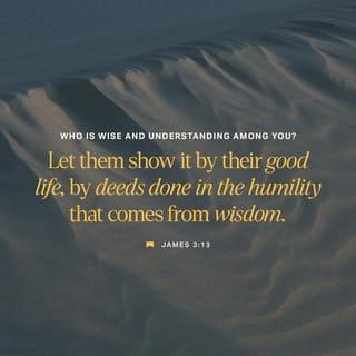 James 3:13 - Who is wise and understanding among you? let him show by his good life his works in meekness of wisdom.