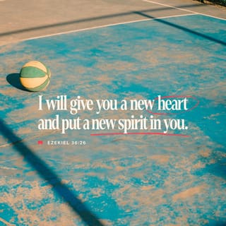 Ezekiel 36:26 - I will graciously give you a new, tender heart and put a new, willing spirit inside you. I will remove your hard heart of stone and give you an obedient, responsive heart instead.