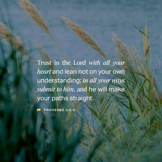 Proverbs 3:5-6 - Trust in the LORD with all your heart,
And lean not on your own understanding;
In all your ways acknowledge Him,
And He shall direct your paths.