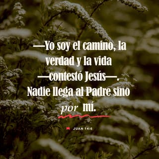 S. Juan 14:6-7 RVR1960