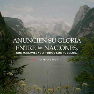 1 Crónicas 16:24 - ¡Muestren su gloria a las naciones!
Proclamen a todos sus maravillas.