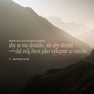 Matouš 20:28 B21