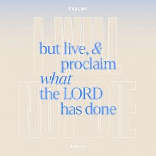 Psalms 118:17 - I will not die; instead, I will live
to tell what the LORD has done.