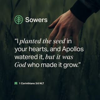 1 Corinthians 3:6 - I planted, Apollos watered; but God gave the increase.