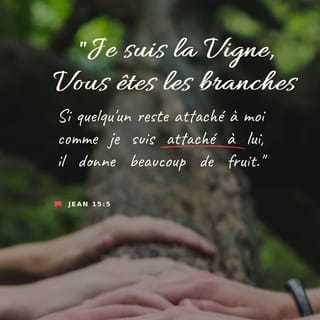 Jean 15:5 PDV2017