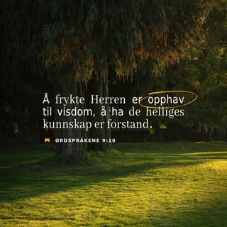 Salomos Ordspråk 9:10 - Å frykte Herren er begynnelsen til visdom, og å kjenne Den Hellige er forstand.