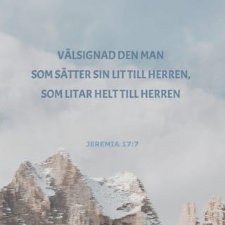 Jeremia 17:7-8 B2000