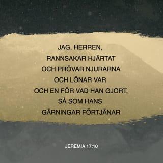 Jeremia 17:10 B2000