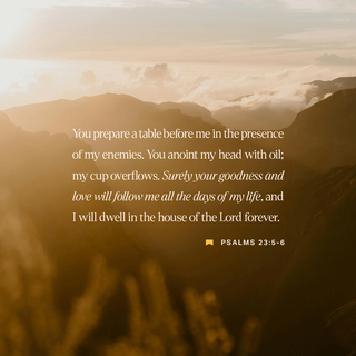 Psalms 23:5-6 - You prepare a table before me
in the presence of my enemies.
You anoint my head with oil;
my cup overflows.
Surely your goodness and love will follow me
all the days of my life,
and I will dwell in the house of the LORD
forever.