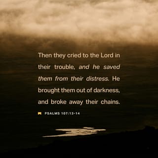 Psalms 107:13 - “LORD, help!” they cried in their trouble,
and he saved them from their distress.