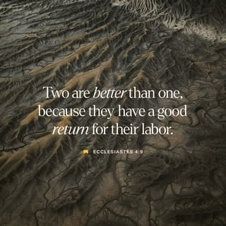 Ecclesiastes 4:9-10 - Two are better than one,
because they have a good return for their labor:
If either of them falls down,
one can help the other up.
But pity anyone who falls
and has no one to help them up.