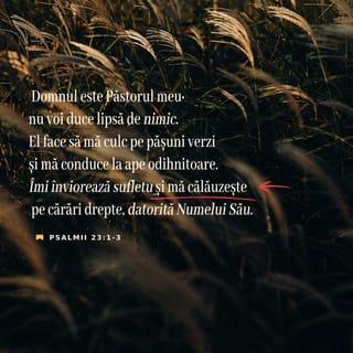 Psalmul 23:1-6 - Domnul este Păstorul meu: nu voi duce lipsă de nimic.
El mă paște în pășuni verzi
și mă duce la ape de odihnă;
îmi înviorează sufletul
și mă povățuiește pe cărări drepte
din pricina Numelui Său.
Chiar dacă ar fi să umblu prin valea umbrei morții,
nu mă tem de niciun rău, căci Tu ești cu mine.
Toiagul și nuiaua Ta mă mângâie.
Tu îmi întinzi masa în fața potrivnicilor mei,
îmi ungi capul cu untdelemn
și paharul meu este plin de dă peste el.
Da, fericirea și îndurarea mă vor însoți
în toate zilele vieții mele
și voi locui în Casa Domnului până la sfârșitul zilelor mele.